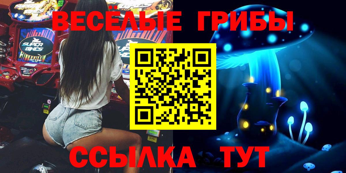 Галлюциногенные грибы GOLDEN TEACHER  Вход с VPN  Петрозаводск  наркотики  Псилоцибиновые грибы Psilocybe 