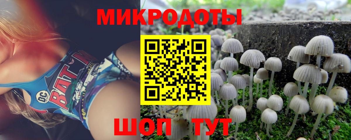 Галлюциногенные грибы Magic Shrooms Петрозаводск